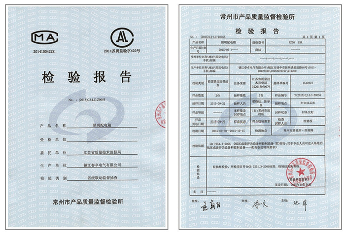 照明配电箱检验报告